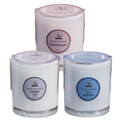 Candele Profumate Piccole in Bicchiere Barattolo Vetro Ø 9 × 10h cm Assortite