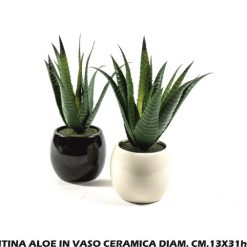 Piantina Aloe In Vaso Ceramica Diam. Cm.13X31H Ass.