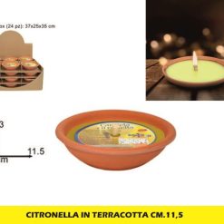 Citronella In Terracotta Cm.11,5
