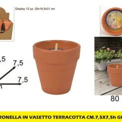 Citronella In Vasetto Terracotta Cm.7,5X7,5H Gr.80