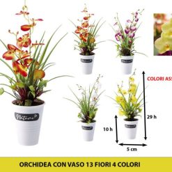 Orchidea Con Vaso Cm.14X37H 13 Fiori 4 Colori