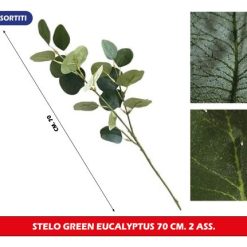 Stelo Foglie Green Eucalyptus Cm.70 2 Ass.