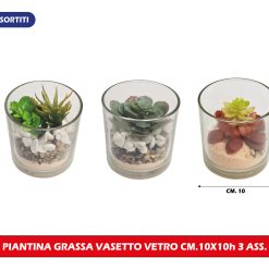 Piantina Vasetto Tondo Vetro Cm.10X10H