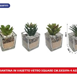 Piantina Vasetto Quadro Vetro Cm.5X5X9H