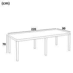Progarden Tavolo Rettangolare Allungabile Queen 220x90x72 cm, in Polipropilene Bianco, per 12 Persone, Linea Rattan, Resistente agli UV, Facile da Pulire Montare, Arredo Interno Esterno - immagine 4
