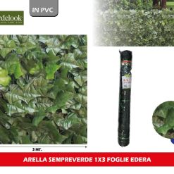 ARELLA SEMPREVERDE 1X3 FOGLIE EDERA
