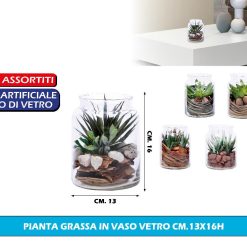 PIANTA GRASSA IN VASO VETRO CM.13X16H