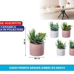 PIANTINA GRASSA CON VASO CM.7,5X13h ASS.