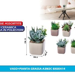 PIANTINA GRASSA CON VASO CM.8X8X14h ASS.