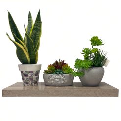 Mensola in Legno Naturale da Parete, Rettangolare 80x23.5x3.8h cm, Design Moderno e Facile Installazione con Viti Incluse, per Libri e Decorazioni, Porta Oggetti, Porta Libri