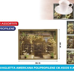TOVAGLIETTA AMERICANA POLIPROPILENE CM.45X35 4 ASS.
