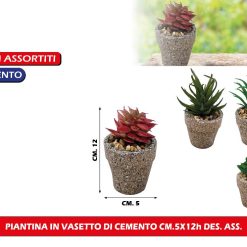 PIANTINA IN VASETTO DI CEMENTO CM.5X12h DES. ASS.