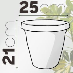Veca Vaso Rotondo Verona Plastica Terracotta cm.25 - immagine 7
