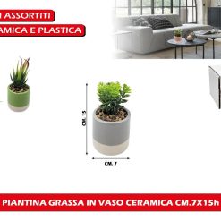 PIANTINA GRASSA IN VASO CERAMICA CM.7X15h