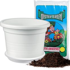 Sicignano | Vaso Cilindro con Sottovaso e Terriccio in Polipropilene, Resistente agli Urti e UV - Vaso Grandi Dimensioni per Ingressi Giardini Spazi Pubblici (Bianco, 80 x 80 x 59 h cm)