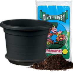 Sicignano | Vaso Cilindro con Sottovaso e Terriccio in Polipropilene, Resistente agli Urti e UV - Vaso Grandi Dimensioni per Ingressi Giardini Spazi Pubblici (Antracite, 70 x 70 x 49 h cm)