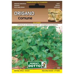 SEMI ORIGANO COMUNE EXTRA