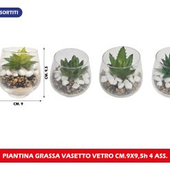 PIANTINA GRASSA VASETTO VETRO CM.9X9,5H 4 VARIANTI
