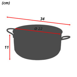 CASSERUOLA DAISY ACCIAIO INOX 2 MANICI CM.22 ART.160LE X INDUZIONE