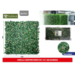 Arella Sempreverde 1X1 Gelsomino