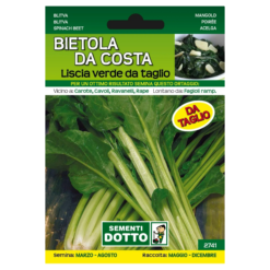Semi Bietola da Costa Liscia Verde da Taglio - Pianta Precoce, Foglie Verdi con Costa Chiara, Busta Extra - 1 Confezione da 13g, Semina Marzo-Agosto, Raccolta Maggio-Dicembre