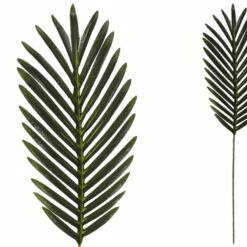 FOGLIA ARECA CM.62