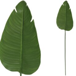 FOGLIA DI BANANO CM.87