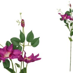 STELO FIORE CLEMATIDE CM.71 VIOLA