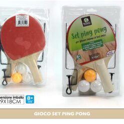 GIOCO SET PING PONG