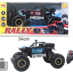 AUTO RALLY CON RADIOCOMANDO 2 ASS.