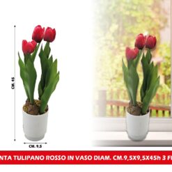 PIANTA TULIPANO ROSSO IN VASO DIAM. CM.9,5X9,5X45h 3 FIORI