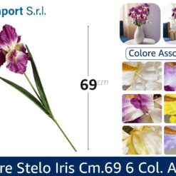 FIORE STELO IRIS CM.69 6 COL. ASS.