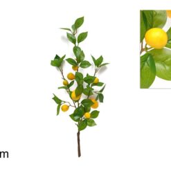 RAMO CON 8 LIMONI CM.65