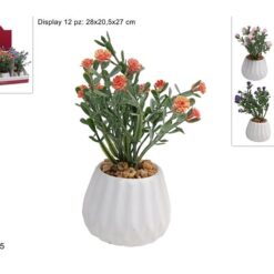 PIANTINA FIORELLINI 4 COLORI