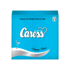 TOVAGLIOLO CM.24X24 2V SET 40 PZ. AZZURRO CARESS