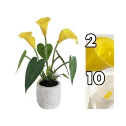 PIANTINA CALLA 3 FIORI CM.32 2 ASS.
