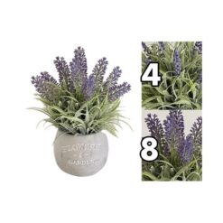 PIANTINA LAVANDA CM.21 2 ASS.