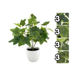 PIANTINA TROPICAL IN VASO CM.41 4 ASS.