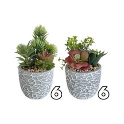 PIANTINA GRASSA VASO CEMENTO RETICOLATO CM.10,5X10,5X19h 2 ASS.