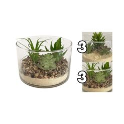 PIANTINA GRASSA VASETTO VETRO CM.15X10h 2 ASS.