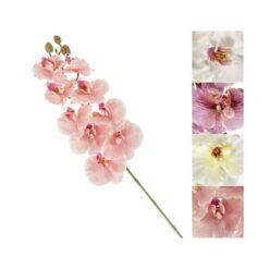 STELO FIORE ORCHIDEA SOFT CM.100 4 ASS.