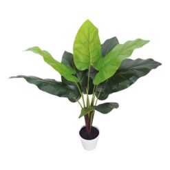 PIANTA TROPICALE PLAIN CM.75