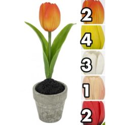 PIANTINA TULIPANO REAL TOUCH SMALL CM.22 5 ASS.