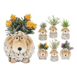 PIANTINA IN VASO MINI PECORELLA CM.8,5X6,5X10,5h 8 ASS.