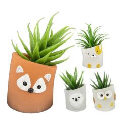 PIANTINA GRASSA ROUND ANIMAL CM.5,5X5,5X11h 4 ASS.