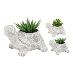 PIANTINA GRASSA VASETTO TARTARUGA SUCCULENTA CM.16X13X12 2 ASS.