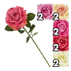 STELO FIORE ROSA SHABBY LOVE SINGOLA CM.64 6 ASS.