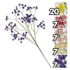 STELO FIORE NEBBIOLINA COLORATA CLOUD CM.62 5 ASS.