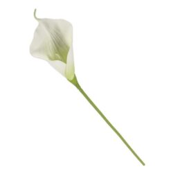 STELO FIORE CALLA SINGLE CM.72
