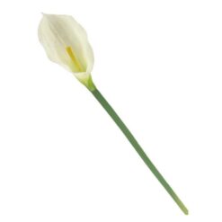 STELO FIORE CALLA ROYAL WHITE CM.68